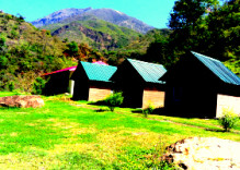 Giri Camp, Solan