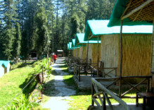 Camp Mashobra Greens, Shimla Hills